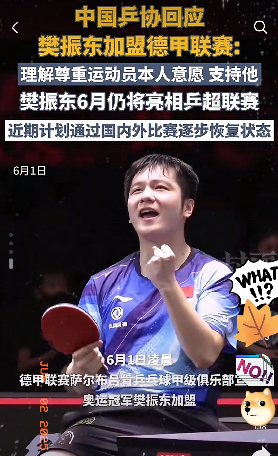 比利时乒乓球队强势英国乒乓球队，樊振东完成帽子戏法的简单介绍