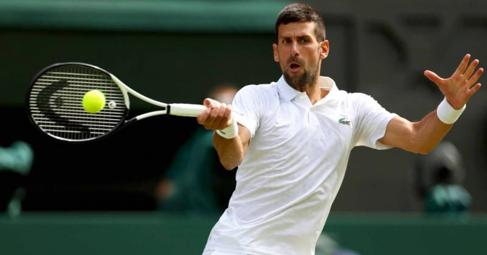 法网绝杀ATP总决赛，德约科维奇刷新纪录