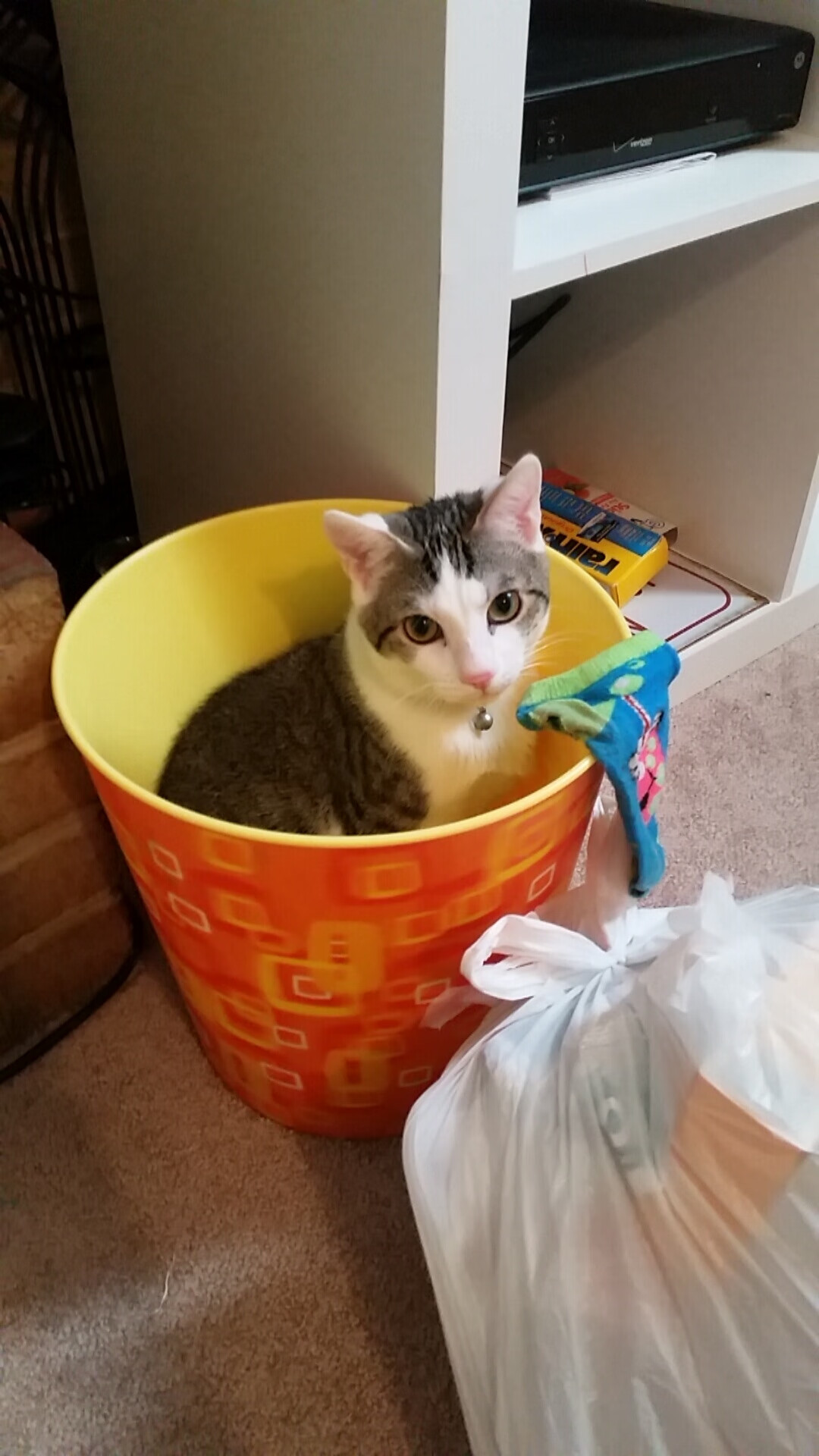 擎天柱！哈利伯顿狂飙风暴，新疆死战加时掀翻北京钢铁防线