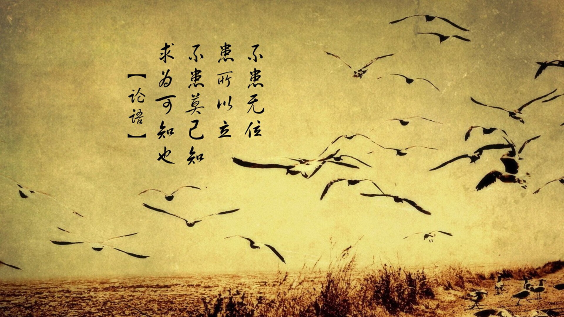 开云官网-节奏绞杀与关键闪光，当掘金织就天罗地网，利拉德刺出封喉一剑