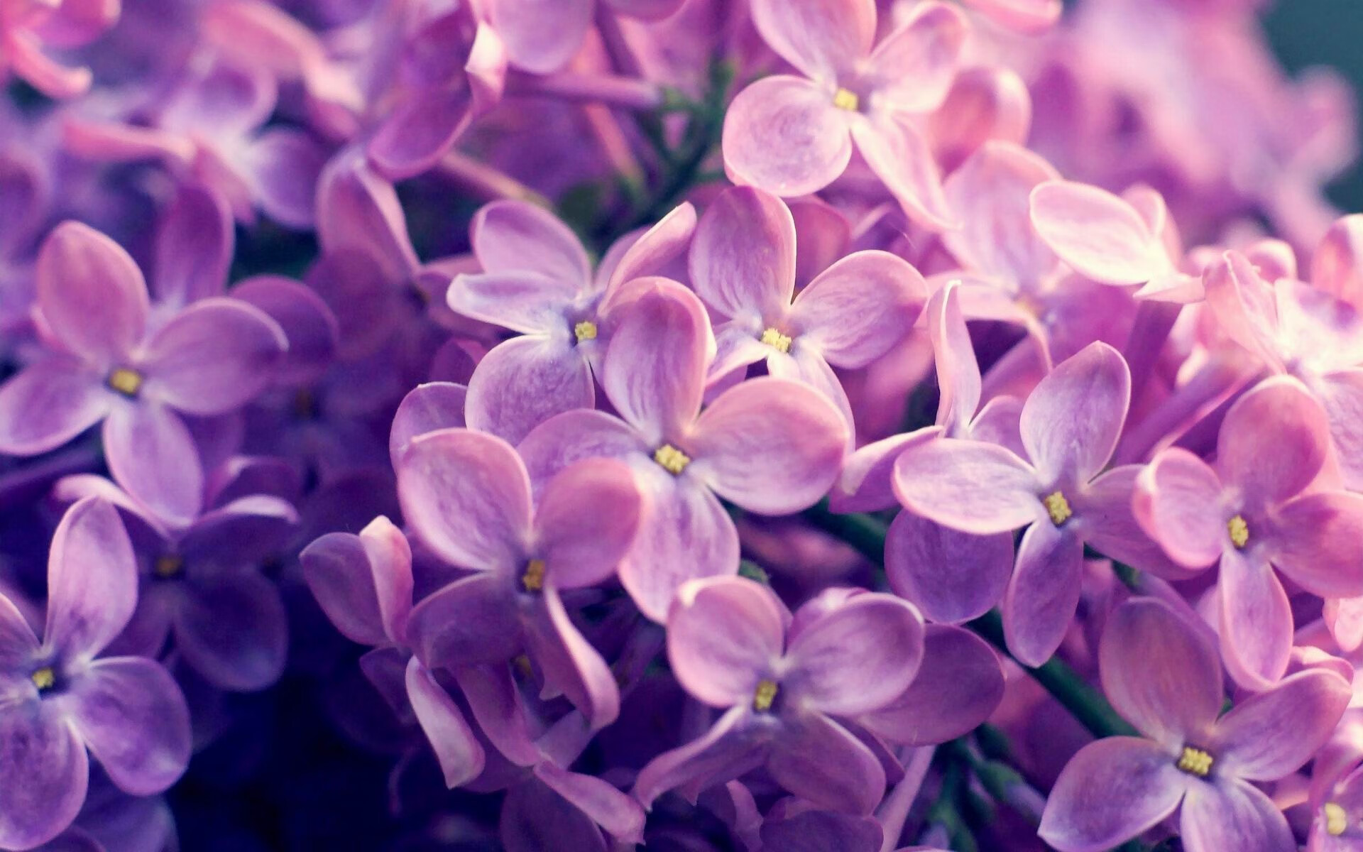 詹姆斯持续制造杀伤,独行侠式防守全面压制浙江队