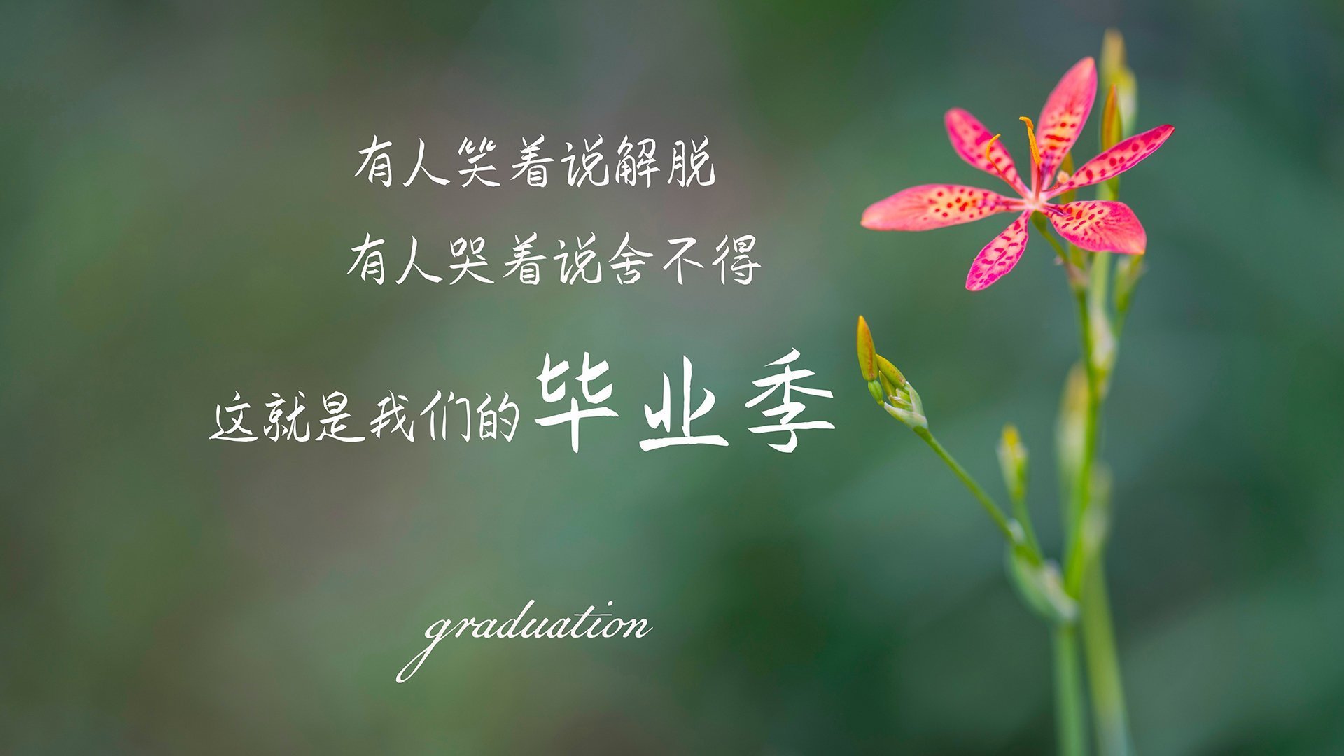 内马尔爆发撕裂防线，摩洛哥战术革命打穿尼日利亚，足球世界的两极启示