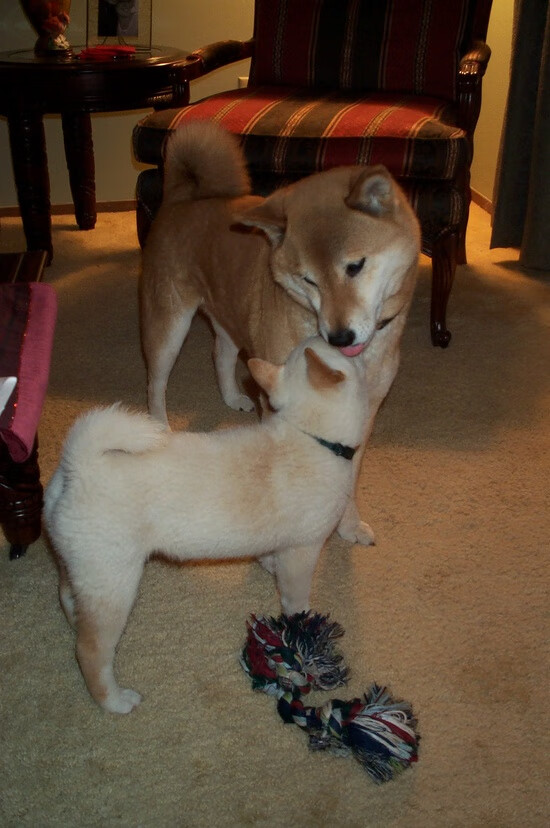 开云体育-孤勇者的独舞，武切维奇的抢七之战