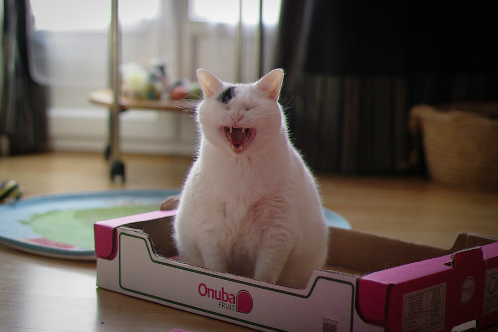 跨界巅峰战，拉梅洛狂砍40分难救主，辽宁队加时绝杀突围公牛