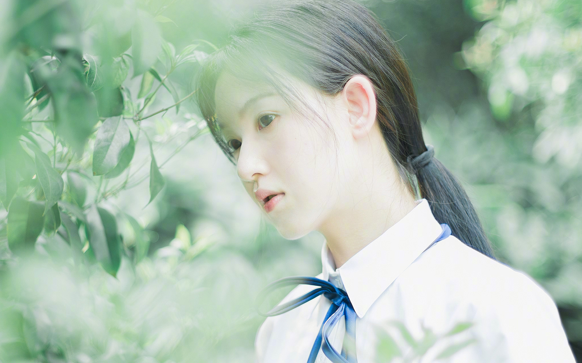 足球与命运,当几内亚在西非西决中力压塞内加尔