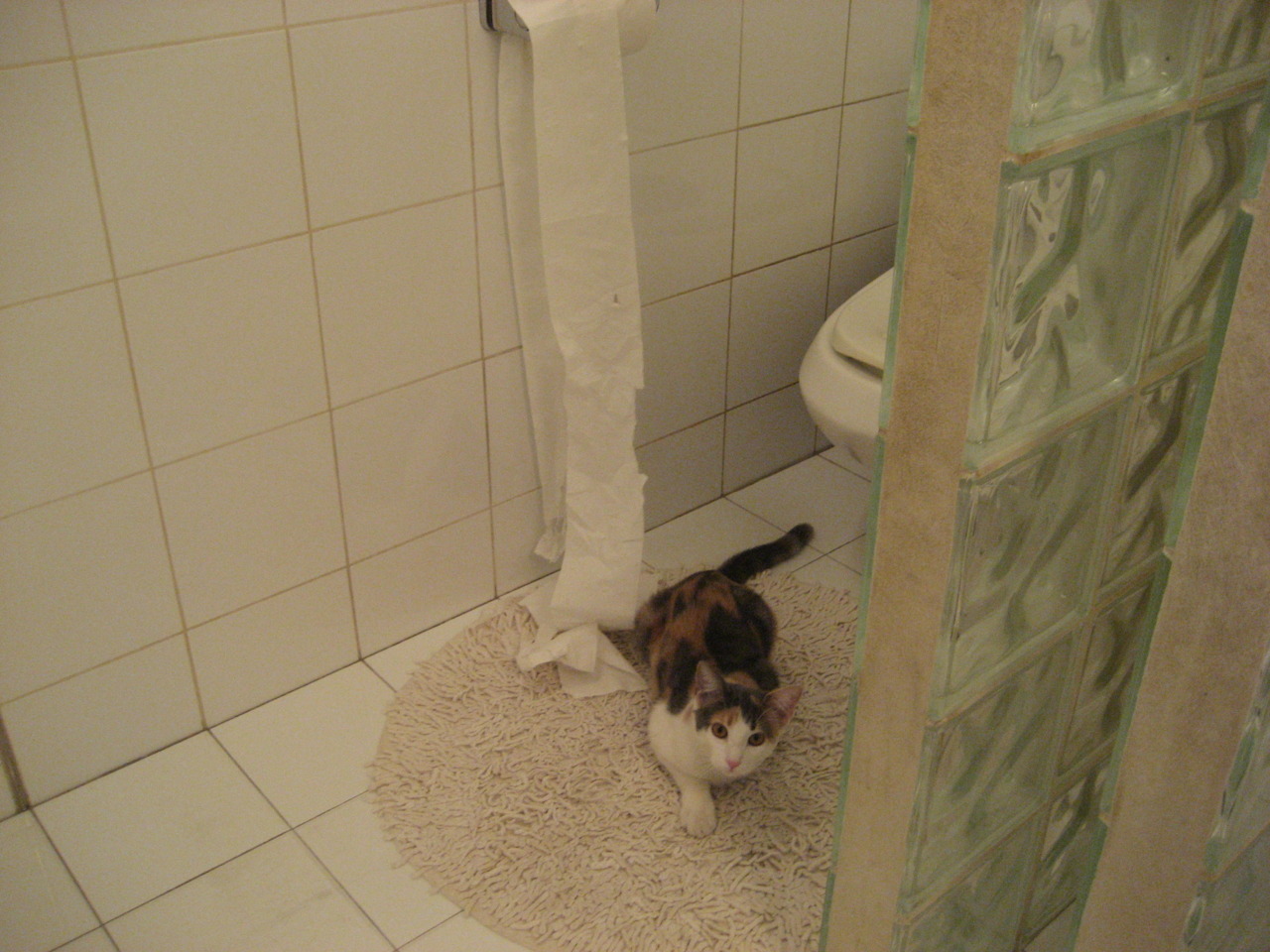 开云体育在线-宿命的收割与巨星的觉醒，当厄瓜多尔一波流带走澳大利亚，我们才懂内马尔为何需要更大的舞台