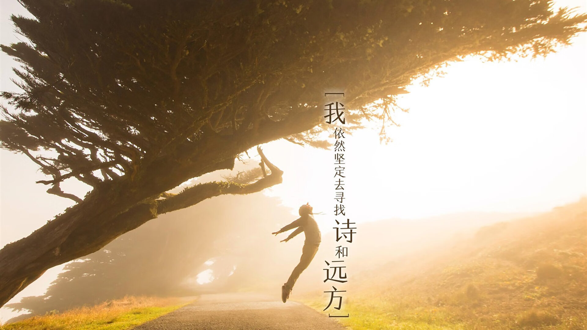 教科书级别的中场艺术,莫德里奇如何定义季后赛抢七之夜