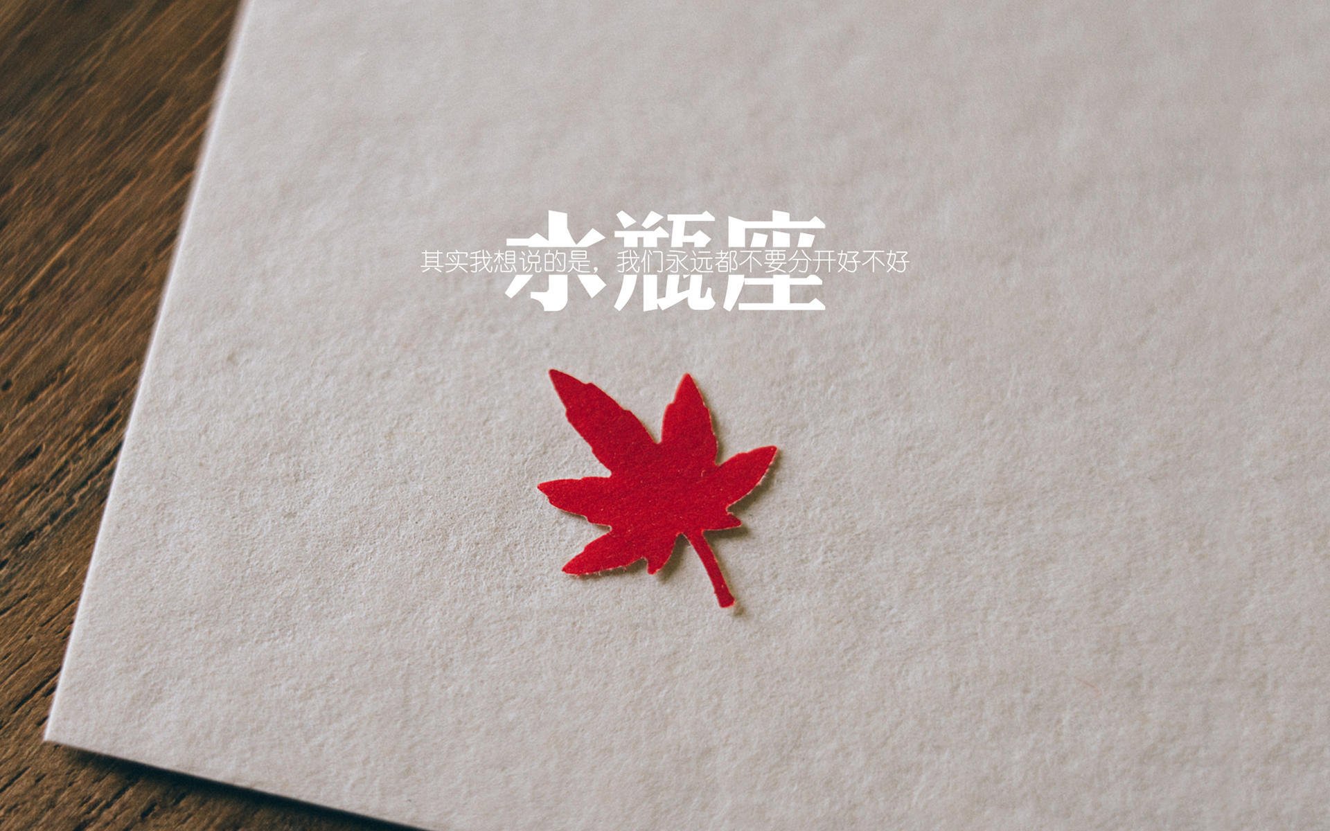 开云APP-铁闸拉亚镇守蓝月防线，曼城火力全压制乌克兰军团