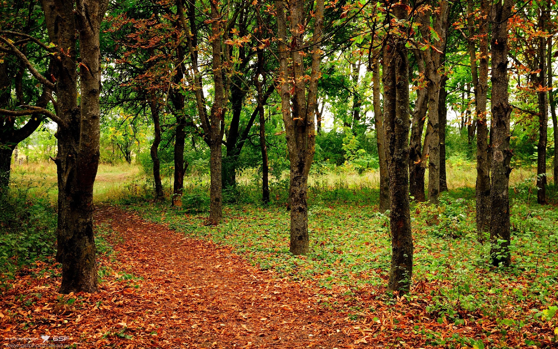 克罗地亚生死战逆转沙特,努涅斯一击制胜铸就经典