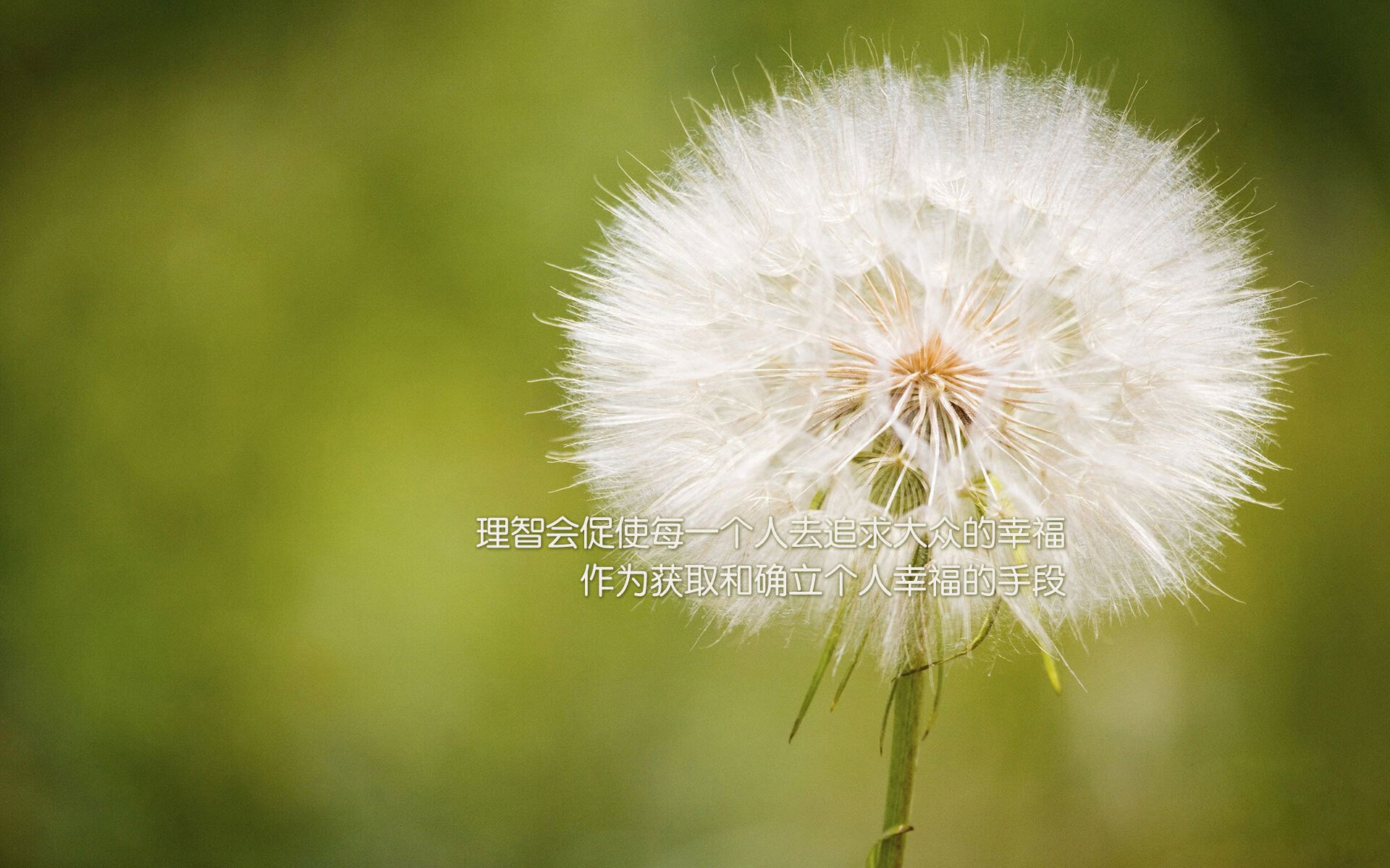 开云下载-东方崛起的足球新章，西方不灭的骑士神话，这个夜晚，竞技体育写下对不可能的致敬